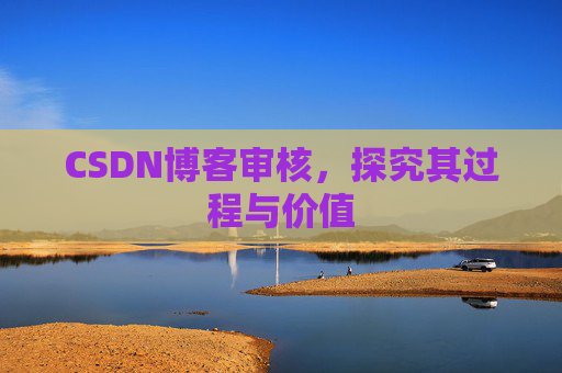 CSDN博客审核，探究其过程与价值